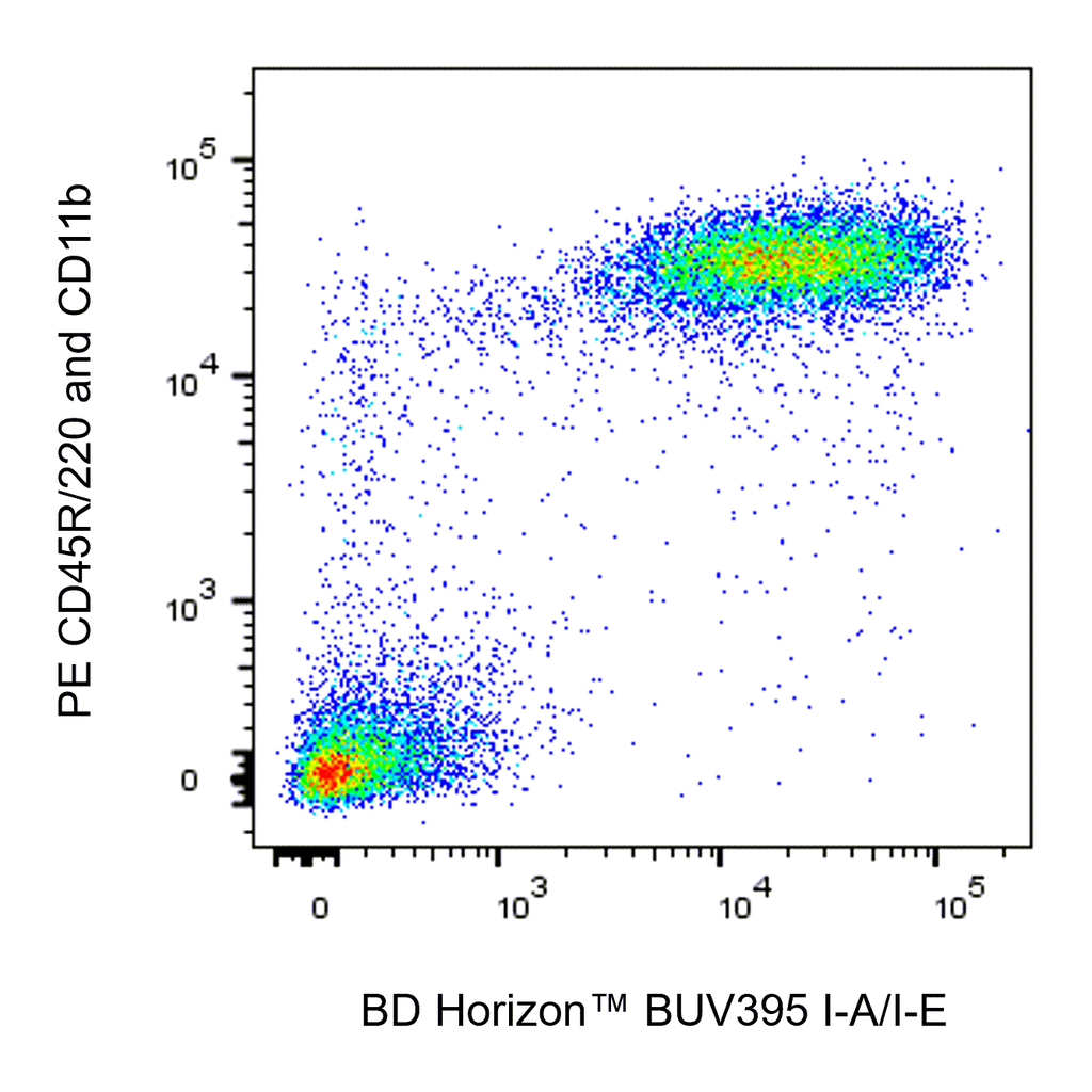 BD BUV395 Rat Anti-Mouse I-A, I-E