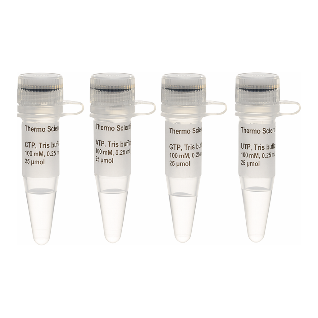 Thermo Fisher Scientific NTP Set, Tris buffered