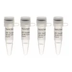 Thermo Fisher Scientific NTP Set, Tris buffered