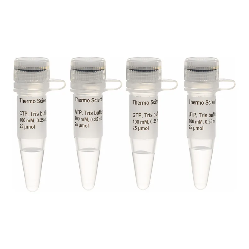 Thermo Fisher Scientific NTP Set, Tris buffered