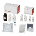 Thermo Fisher Scientific QuantiGene Singleplex Assay Kit, 2 plates