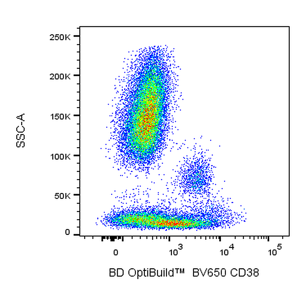 BD BV650 Mouse Anti-Human CD38