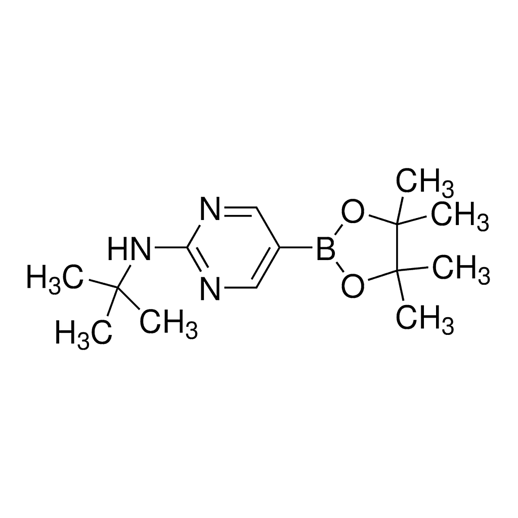Merck 2-tert-Butylaminopyrimidine-5-boronic acid, pinacol ester