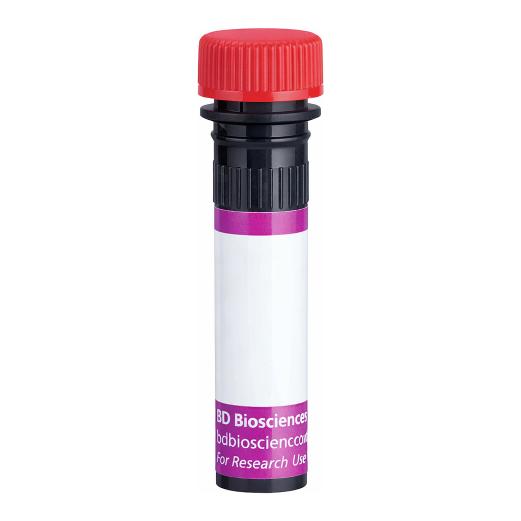 BD BV711 Biosimilar Anti-Human CD20 Rituximab297