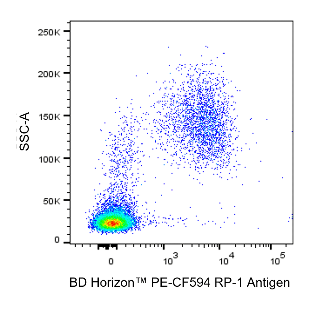 BD PE-CF594 Mouse Anti-Rat RP-1 Antigen