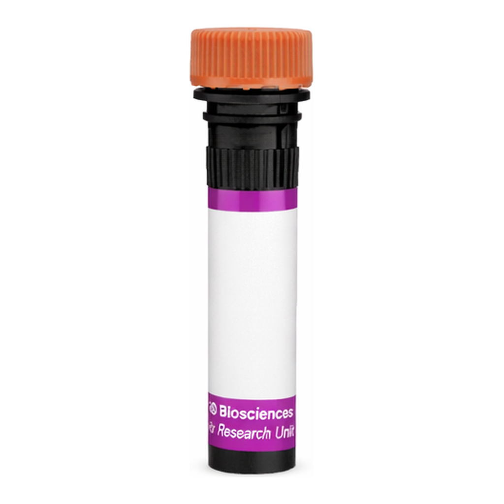 BD BV605 Mouse Anti-TWEAK Receptor (CD266)