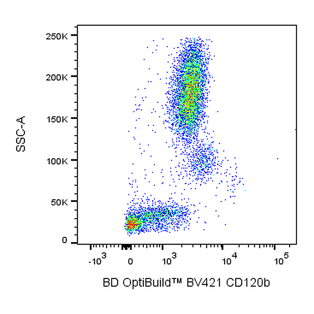 BD BV421 Rat Anti-Human CD120b