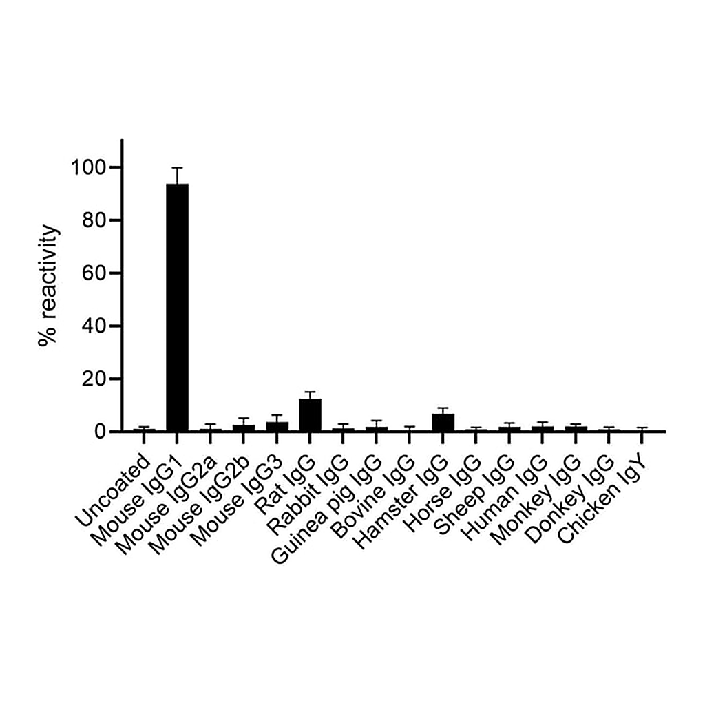 Thermo Fisher Scientific F(ab)-Goat anti-Mouse IgG1 Fc Secondary Antibody, Alexa Fluor 488