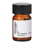 Thermo Fisher Scientific 5(6)-SFX (6-(Fluorescein-5-(and-6)-Carboxamido) Hexanoic Acid, Succinimidyl Ester), mixed isomers