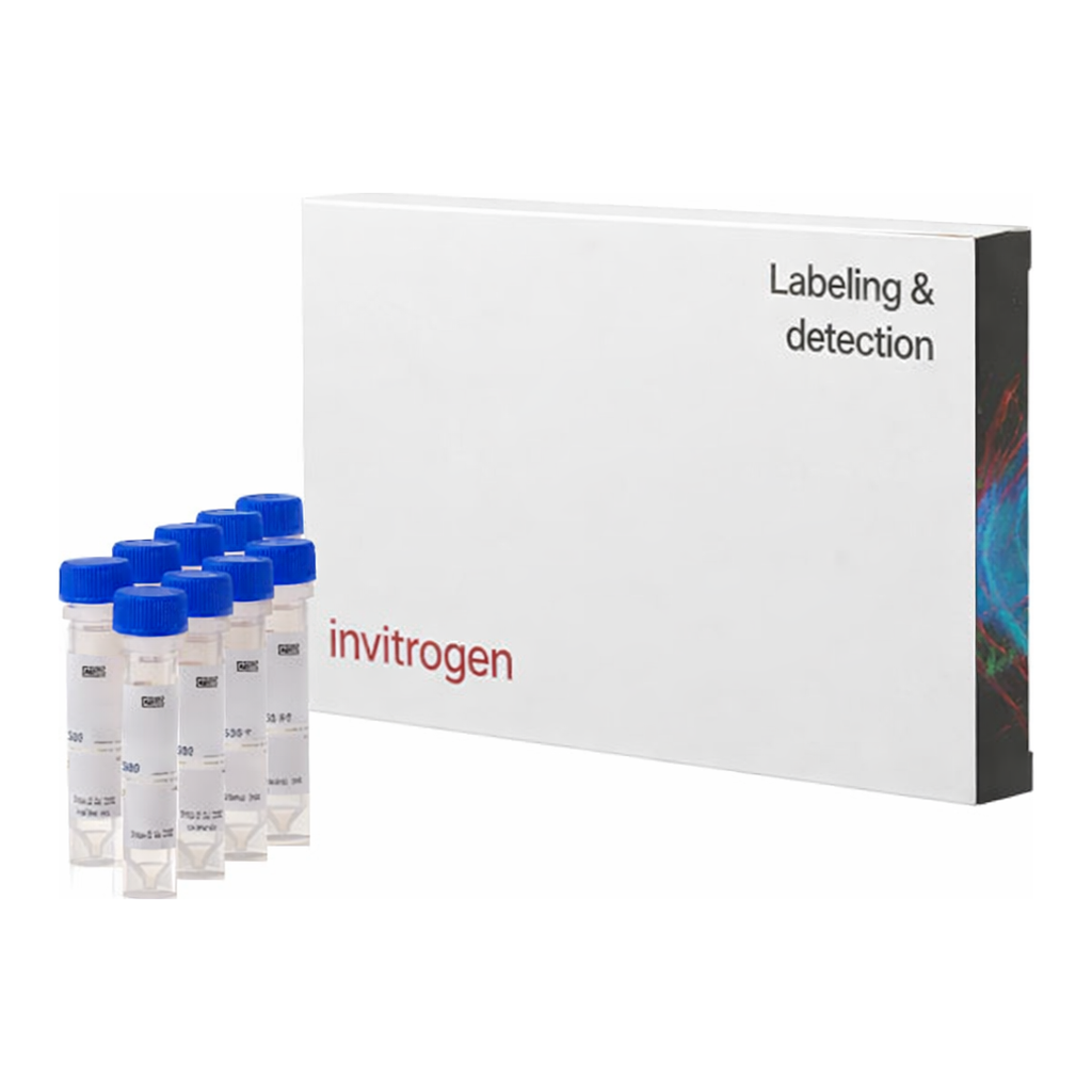 Thermo Fisher Scientific SNARF-1 Carboxylic Acid, Acetate, Succinimidyl Ester - Special Packaging