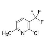 Merck 2-Chloro-6-methyl-3-(trifluoromethyl)pyridine