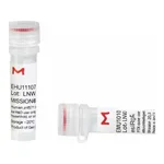 Merck MISSION(R) esiRNA