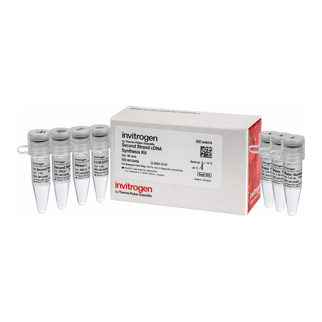 Thermo Fisher Scientific Second Strand cDNA Synthesis Kit, 50 reaction