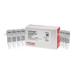Thermo Fisher Scientific Second Strand cDNA Synthesis Kit, 50 reaction