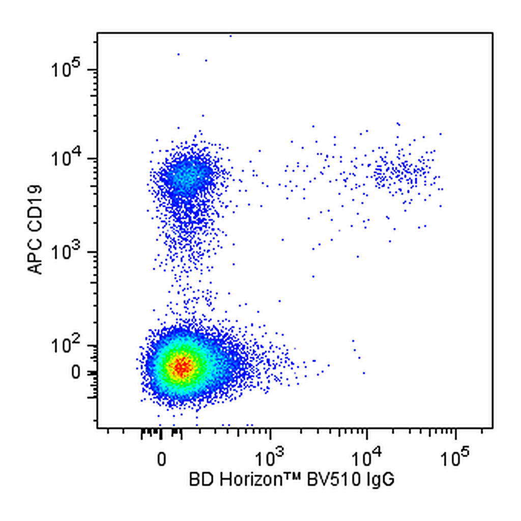 BD BV510 Mouse Anti-Human IgG