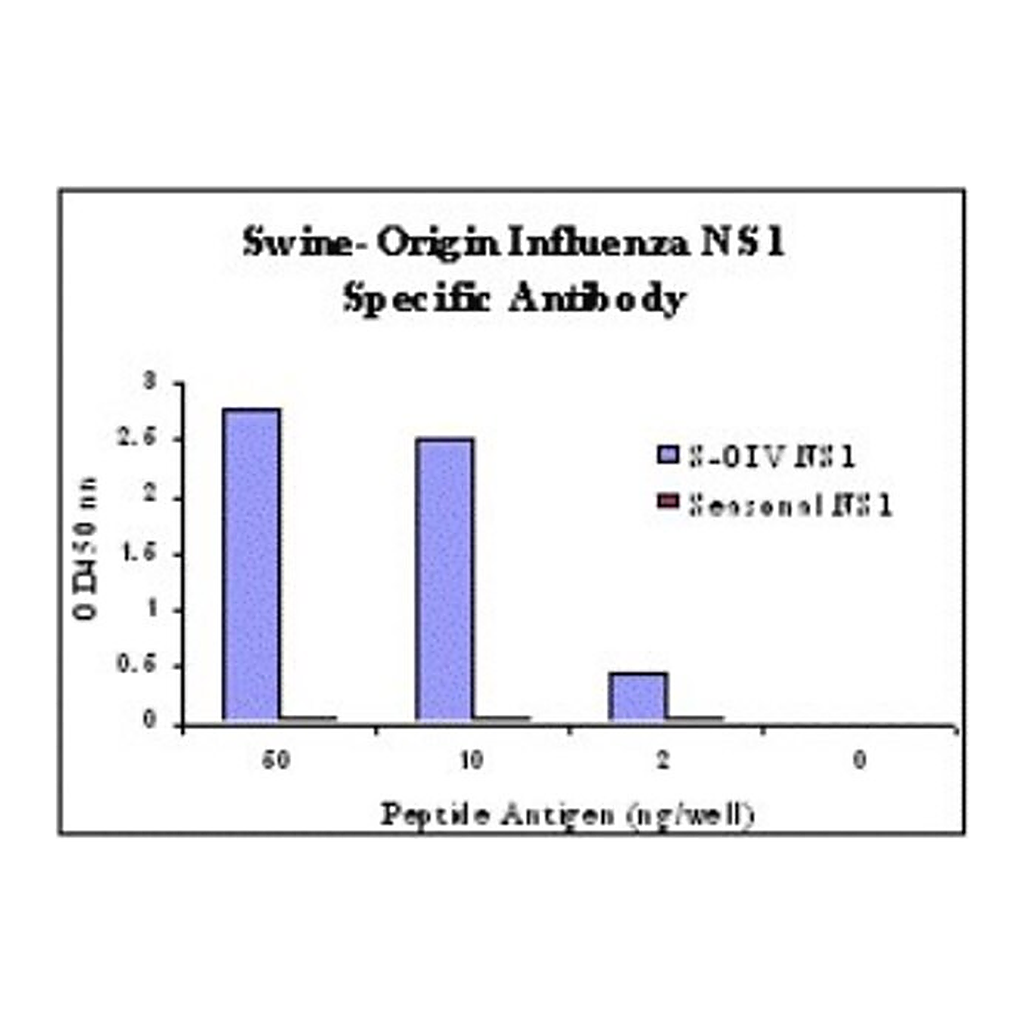 Merck Anti-Swine H1N1 Nonstructural Protein 1 antibody produced in rabbit