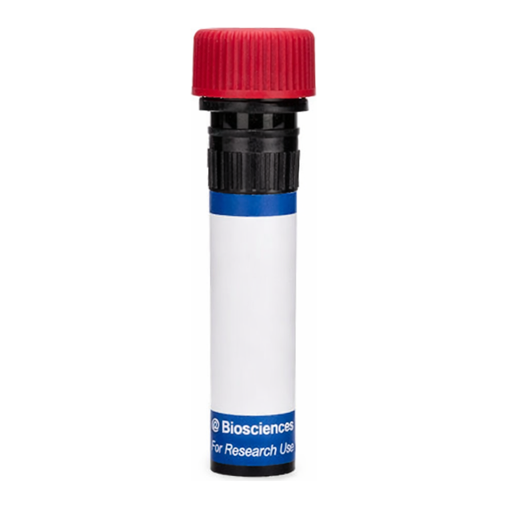 BD PE Mouse Anti-Rat RP-1 Antigen