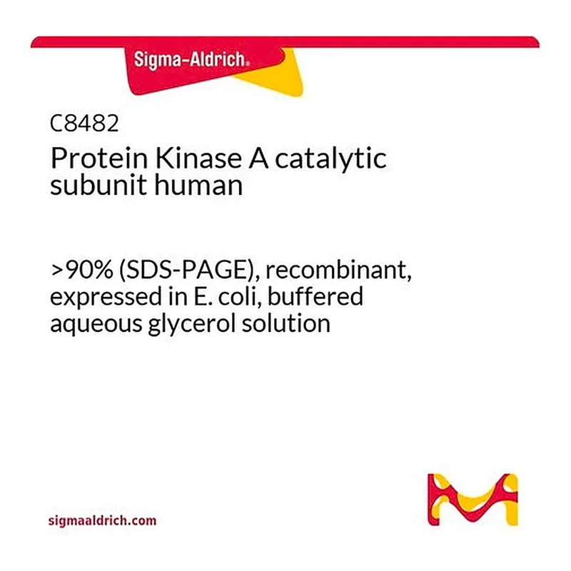Merck Protein Kinase A catalytic subunit human