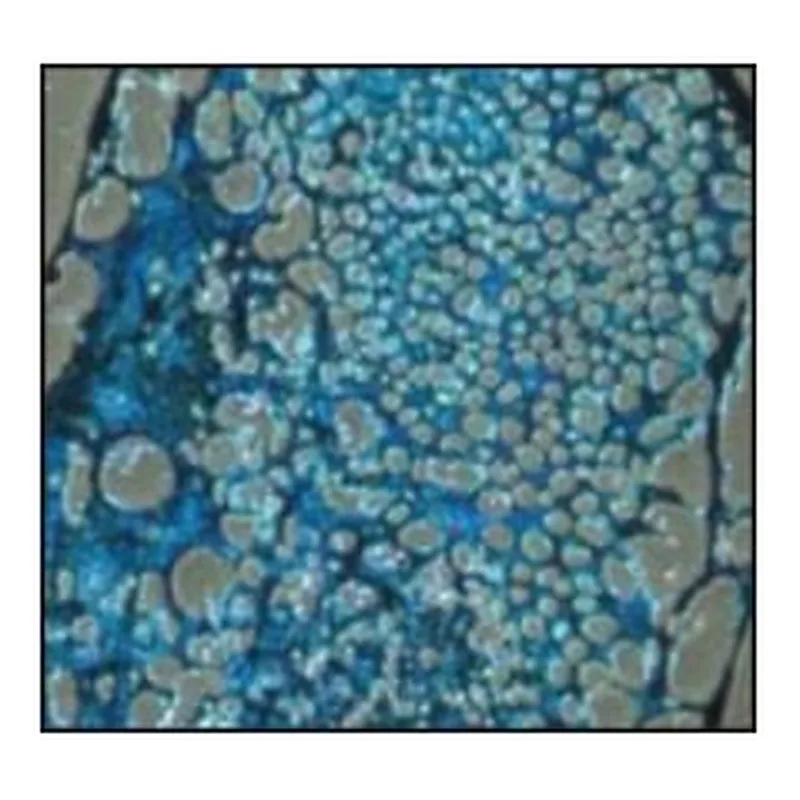 Merck CHONDROMAX DIFFERENTIATION MEDIUM