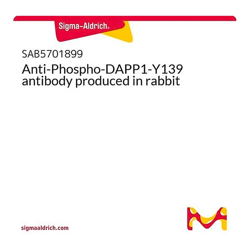 Merck Anti-Phospho-DAPP1-Y139 antibody produced in rabbit
