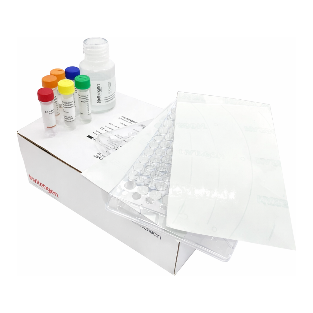 Thermo Fisher Scientific EnzChek Paraoxonase Assay Kit
