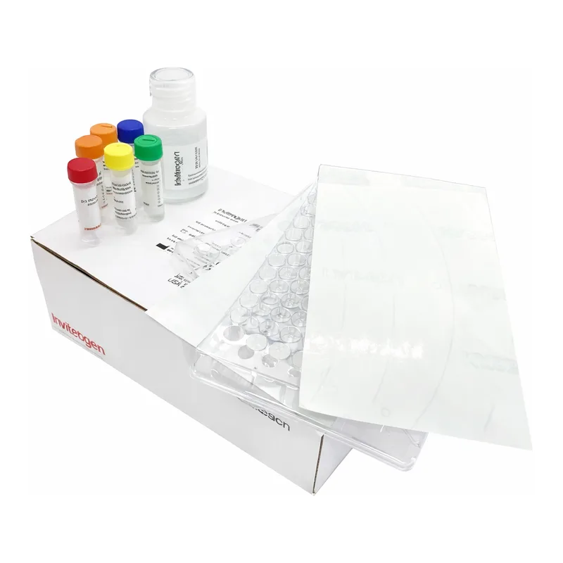 Thermo Fisher Scientific EnzChek Paraoxonase Assay Kit