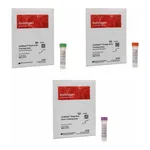 Thermo Fisher Scientific CellMask Actin Tracking Stain Variety Pack