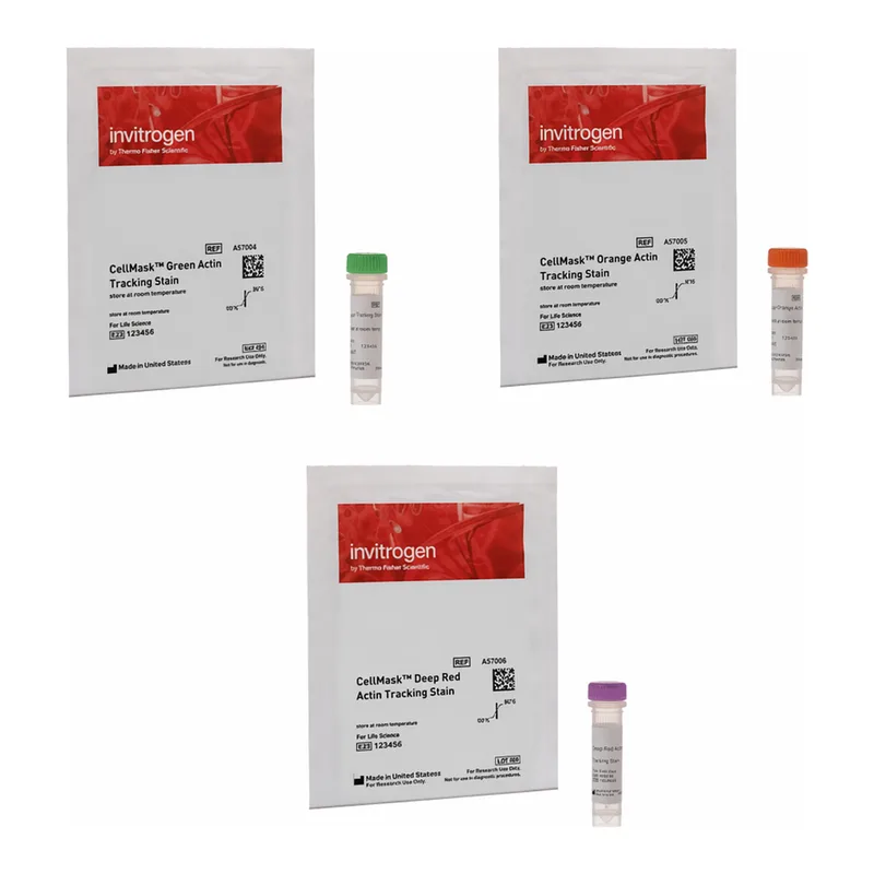 Thermo Fisher Scientific CellMask Actin Tracking Stain Variety Pack
