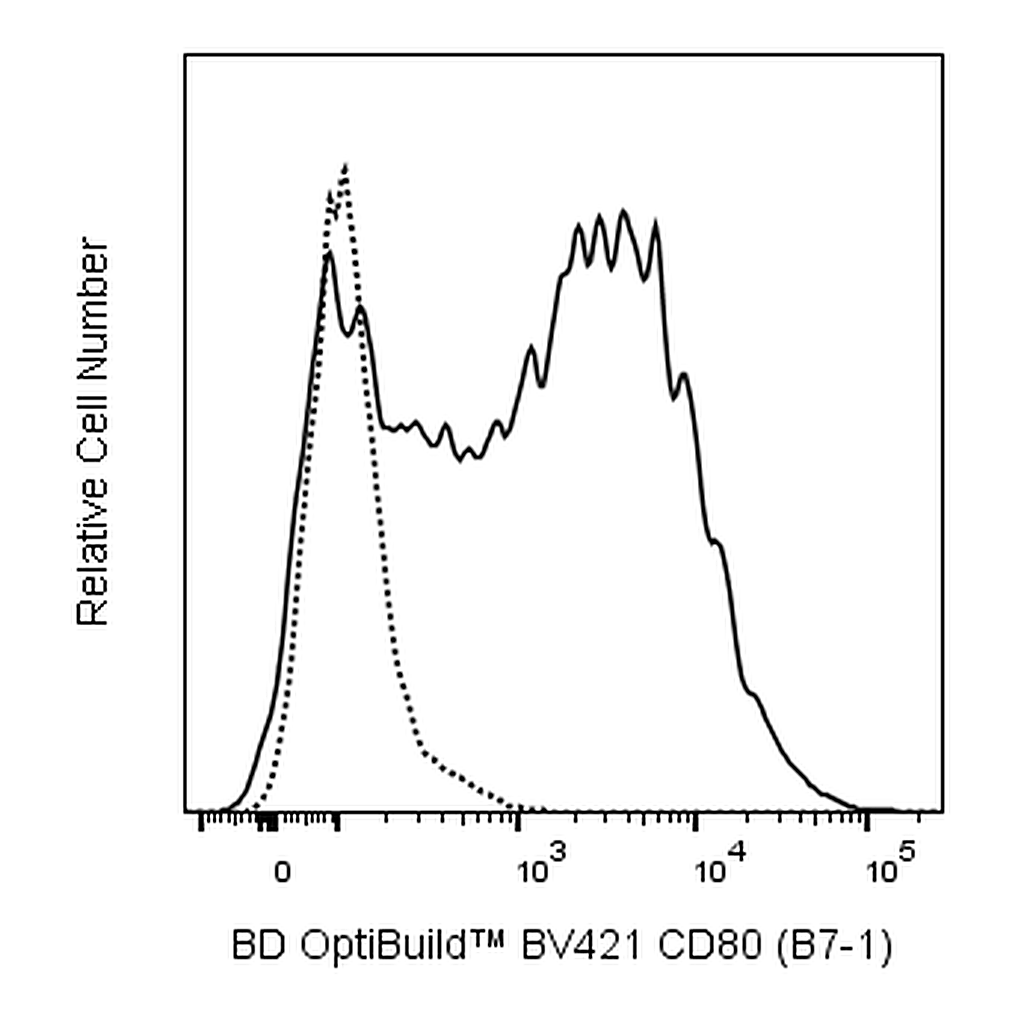 BD BV421 Mouse Anti-Rat CD80 (B7-1)