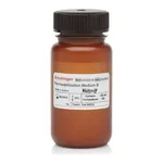 Thermo Fisher Scientific Permeabilization Medium (Medium B), 100 mL