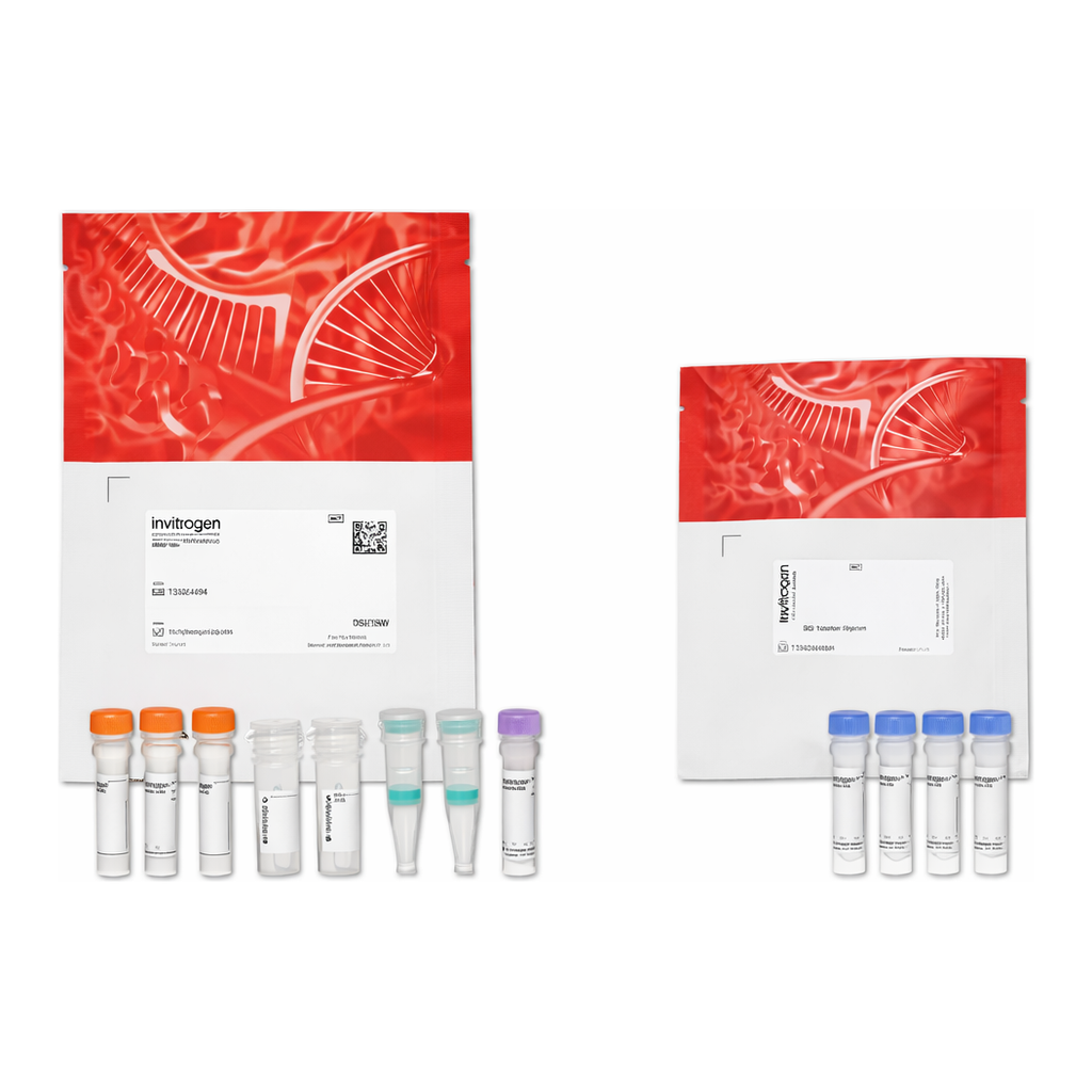 Thermo Fisher Scientific Alexa Fluor 488 Microscale Protein Labeling Kit