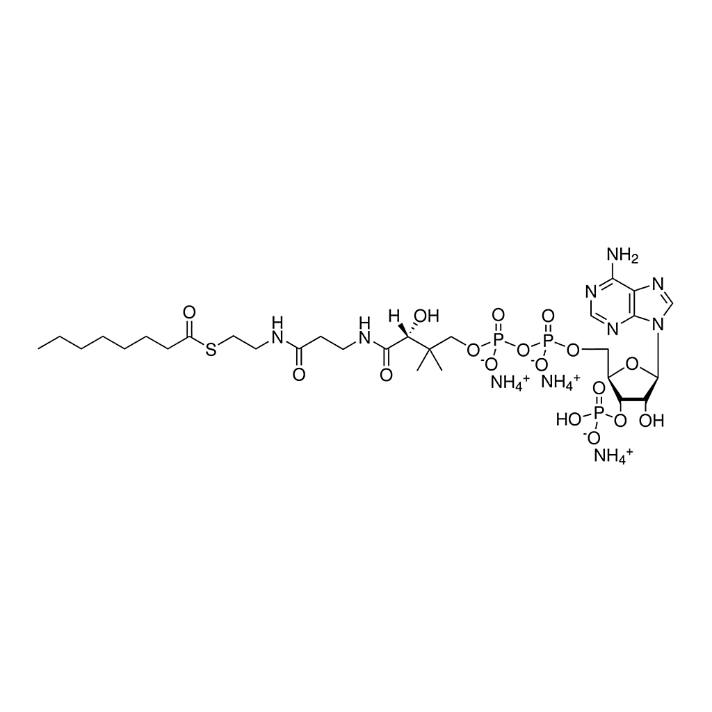 Merck 08:0 Coenzyme A