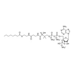 Merck 08:0 Coenzyme A