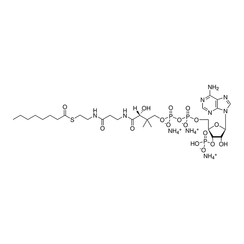 Merck 08:0 Coenzyme A