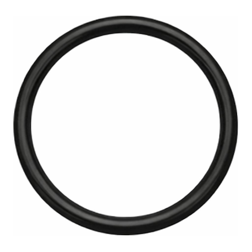 Agilent O-ring for DV radial purge tube, Optima