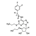Merck Ticagrelor
