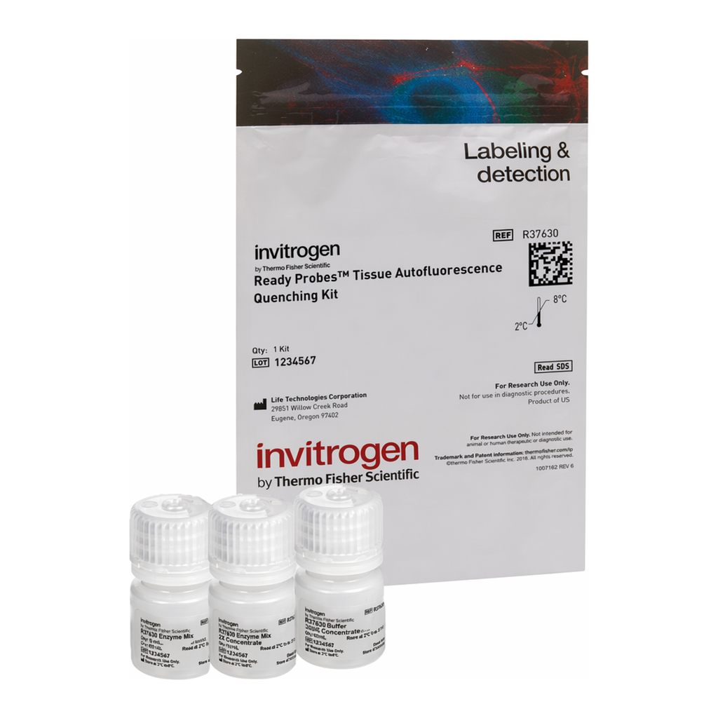 Thermo Fisher Scientific ReadyProbes Tissue Autofluorescence Quenching Kit