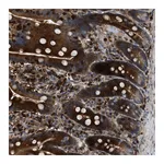 Atlas Antibodies Anti-OSTF1 Antibody