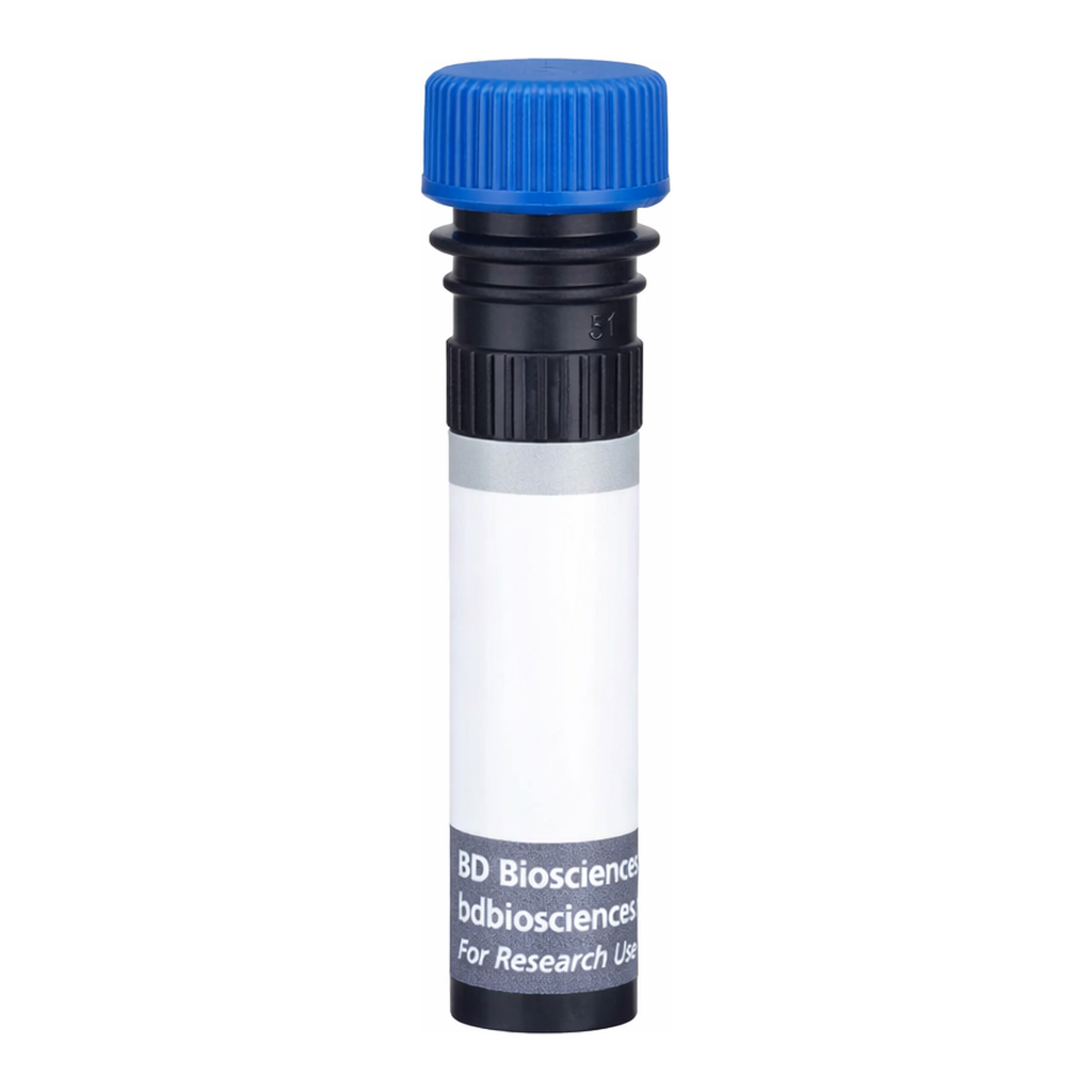 BD BUV496 Mouse Anti-Rat High Affinity IgE Receptor