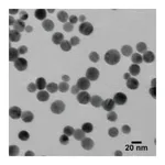 Merck SILVER, DISPERSION, NANOPARTICLES, 20 N&