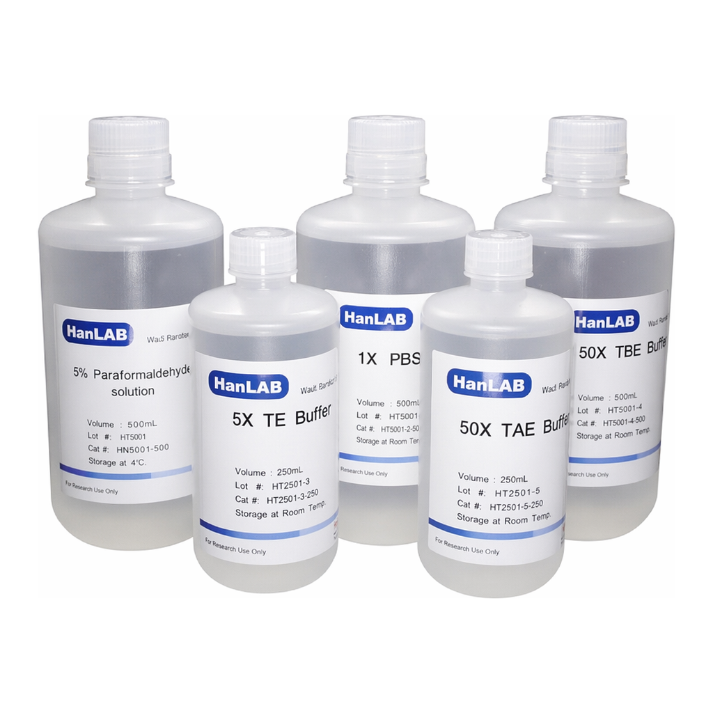 HanLAB HANLAB 5X Transfer Buffer