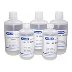 HanLAB HANLAB 5X Transfer Buffer