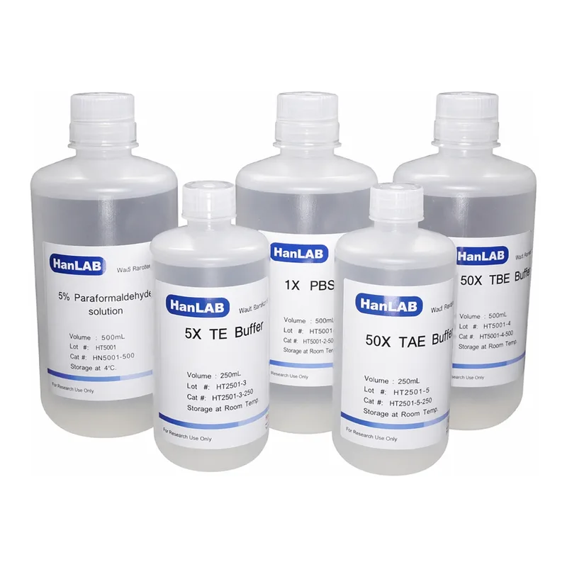 HanLAB HANLAB 5X Transfer Buffer
