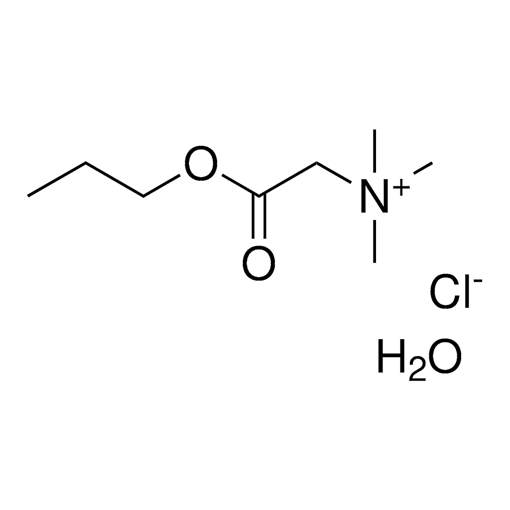 Merck N,N,N-TRIMETHYL-2-OXO-2-PROPOXYE-