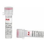 Merck MISSION(R) esiRNA