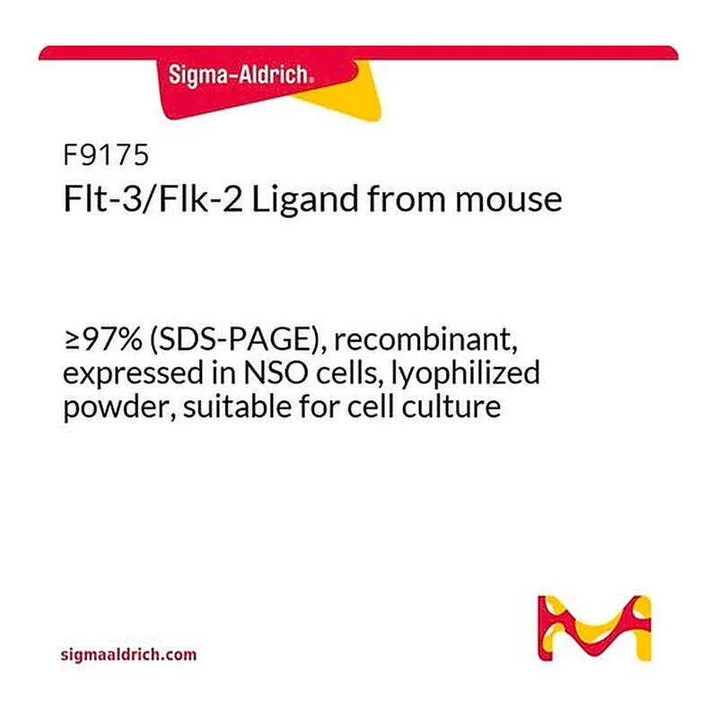 Merck Flt-3/Flk-2 Ligand from mouse