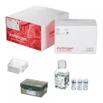 Thermo Fisher Scientific Neon NxT Electroporation System 10 μL Kit with 8-Channel Tubes, 384 x 2 reactions