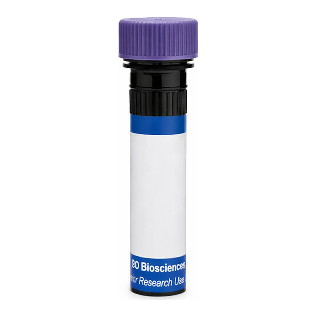 BD RB744 Mouse Anti-Human Chondroitin Sulfate (NG2)