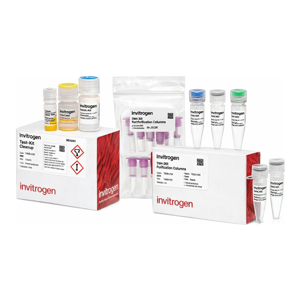 Thermo Fisher Scientific TrueTag Donor DNA Kit, Myc