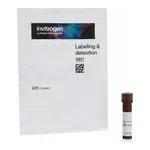 Thermo Fisher Scientific Lycopersicon Esculentum (Tomato) Lectin (LEL, TL), DyLight 594